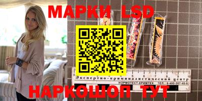 бошки Можга