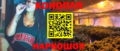 стафф Моздок