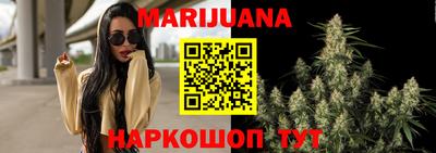 стафф Моздок