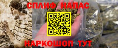 стафф Моздок